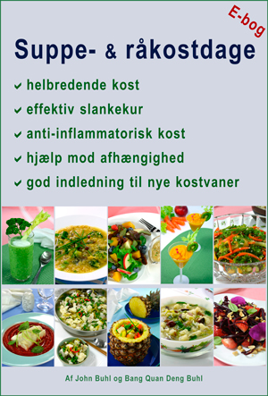 Suppe- og råkostdage, e-bog